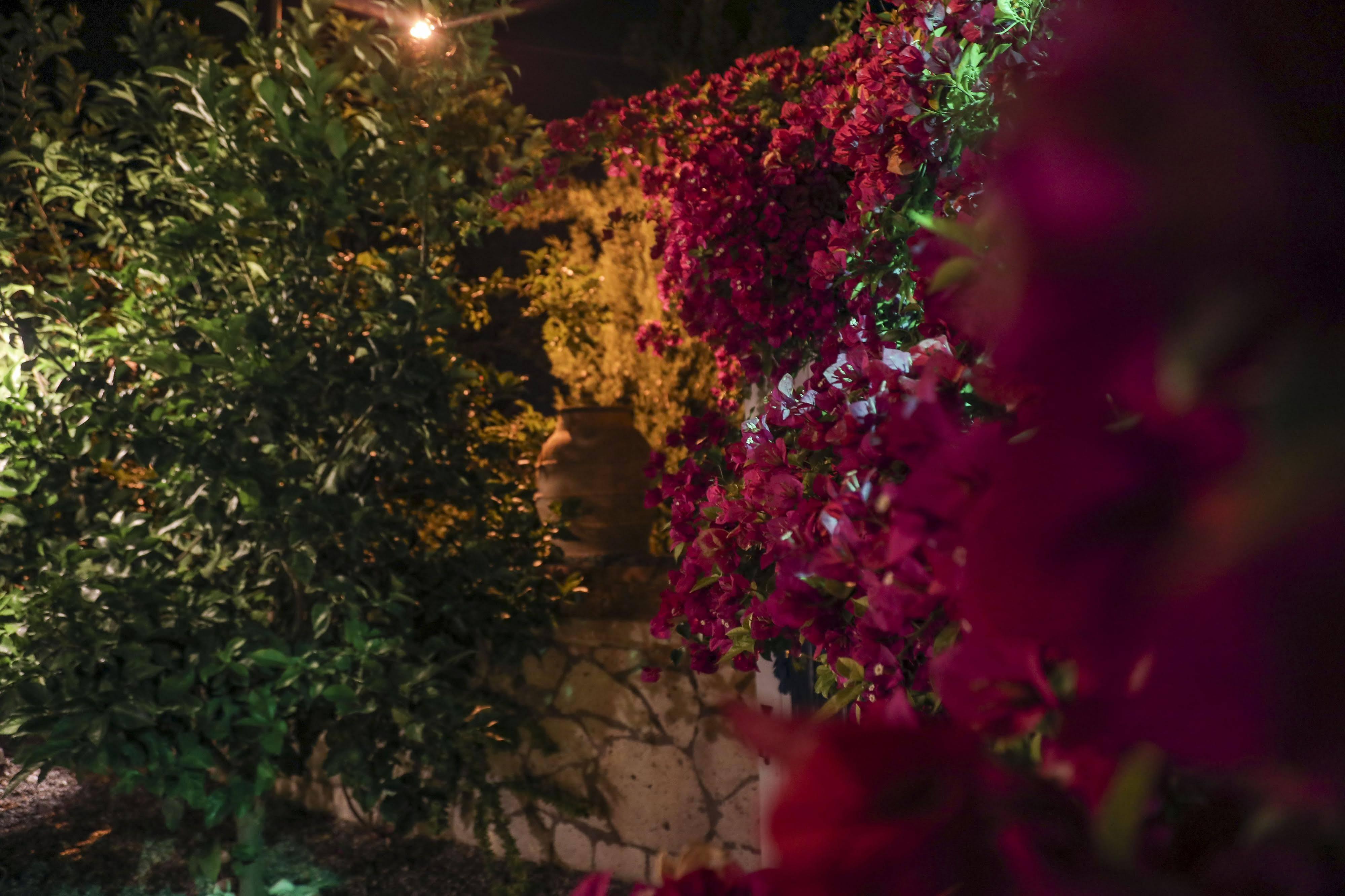 Sari Gelin Alacati Hotel Exteriér fotografie